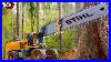 Extreme-Dangerous-Fastest-Big-Chainsaw-Cutting-Tree-Machines-Biggest-Heavy-Equipment-Machines-11-01-ims